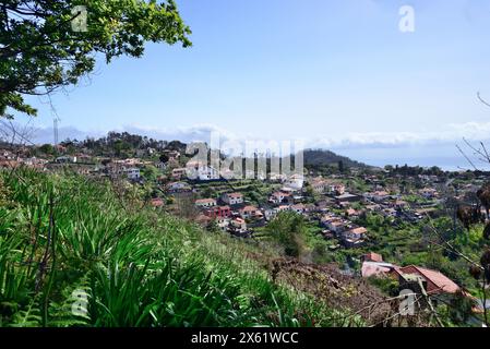 Auf einem Hügel gelegene Häuser auf der Insel Madeira. Stockfoto