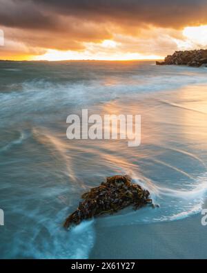 Die Sonne taucht in Richtung Horizont und strahlt ein warmes Leuchten über der Küste in Schweden aus. Die Wellen schlängeln sanft am Strand und wirbeln um Algenklumpen herum Stockfoto