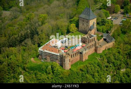 Luftbild, Renovierungsarbeiten an der Ruine der Burg Nideggen im Waldgebiet, Höhenburg und Wahrzeichen der Nordeifel im Naturpark hohes Venn-Eifel, Hügel und Täler, Nideggen, Nordrhein-Westfalen, Deutschland ACHTUNGxMINDESTHONORARx60xEURO *** Luftbild, Renovierungsarbeiten an der Ruine der Burg Nideggen im Waldgebiet, Bergschloss und Wahrzeichen der Nordeifel im Naturpark hohes Venn Eifel, Hügel und Täler, Nideggen, Nordrhein-Westfalen, Deutschland ACHTUNGxMINDESTHONORARx60xEURO Stockfoto