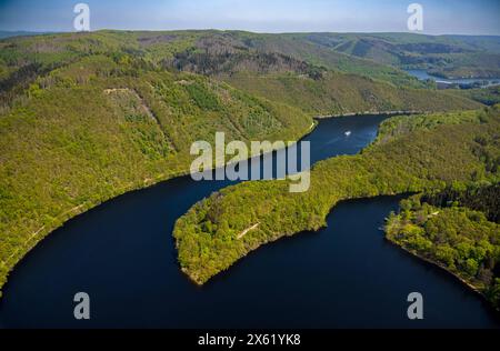Luftbild, Fluss Rur und Urfttalsperre Urftsee, Ausflugsboot SeenSucht mit Gästen, Waldgebiet Hügel und Täler mit Waldschäden Nordeifel Nationalpark Eifel, Rurberg, Simmerath, Nordrhein-Westfalen, Deutschland ACHTUNGxMINDESTHONORARx60xEURO *** Luftansicht, Flussrur und Urfttalsperre Urftsee, Ausflugsboot SeenSucht mit Gästen, Waldgebiet Hügel und Täler mit Gästen, Waldschaden Nordeifel Nationalpark Rurwald Simmerath, Nordrhein-Westfalen, Deutschland ACHTUNGxMINDESTHONORARx60xEURO Stockfoto