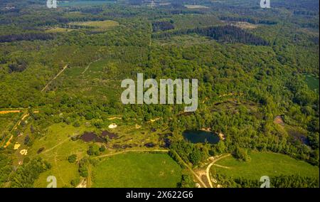 Luftbild, Kottenforst Waldgebiet, Teiche Kiesgrube Dünstekofen Landschaftsschutzgebiet, Naturschutzgebiet Waldville mit Fernsicht, Dünstekofen, Swisttal, Rheinland, Nordrhein-Westfalen, Deutschland ACHTUNGxMINDESTHONORARx60xEURO *** Luftansicht, Waldgebiet Kottenforst, Teiche Schottergrube Dünstekofen Landschaftsschutzgebiet, Naturschutzgebiet Waldville mit Fernsicht, Dünstekofen, Swisttal, Rheinland, Nordrhein-Westfalen, Deutschland ACHTUNGxMINDESTHONORARx60xEURO Stockfoto