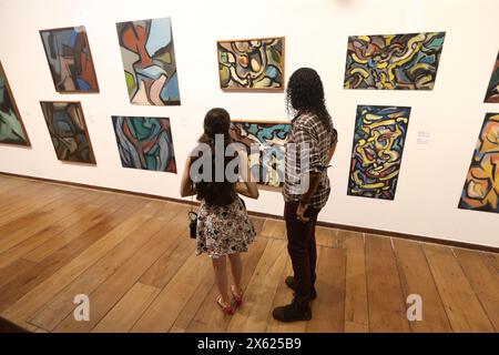 salvador, bahia, brasilien - 29. august 2023: Besucher besuchen eine Ausstellung von Kunstwerken, die im MAM Museum für moderne Kunst in der Stadt ausgestellt werden Stockfoto