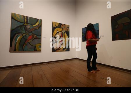 salvador, bahia, brasilien - 29. august 2023: Besucher besuchen eine Ausstellung von Kunstwerken, die im MAM Museum für moderne Kunst in der Stadt ausgestellt werden Stockfoto