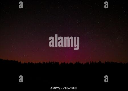 Aurora borealis im Waldviertel, Österreich am 11.05.2024 Stockfoto