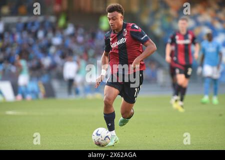 Neapel, Italien. 11. Mai 2024. Dan Ndoye von Bologna FC während des Spiels der Serie A zwischen SSC Napoli und Bologna FC im Stadio Diego Armando Maradona Neapel Italien am 11. Mai 2024. Franco Romano/Alamy Live News Stockfoto