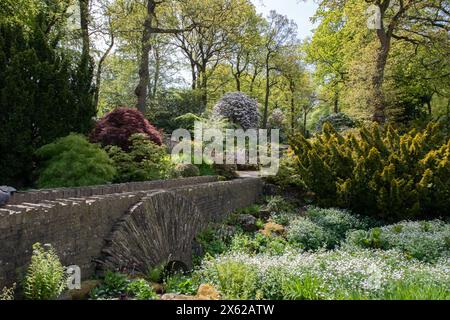 Farbe im späten Frühling bei RHS Harlow Carr Stockfoto