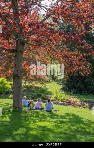 Picknick unter dem Baum am Fluss im RHS Harlow Carr Stockfoto