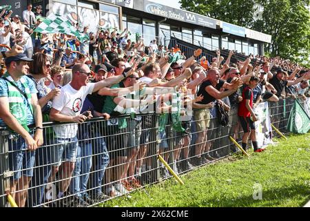 Deinze, Belgien. Mai 2024. Lommels Fans feiern nach einem Fußballspiel zwischen KMSK Deinze und Lommel SK am Sonntag, den 12. Mai 2024 in Deinze, dem zweiten Halbfinale für den Aufstieg am Ende der zweiten Liga der Challenger Pro League 2023-2024. BELGA FOTO DAVID PINTENS Credit: Belga News Agency/Alamy Live News Stockfoto