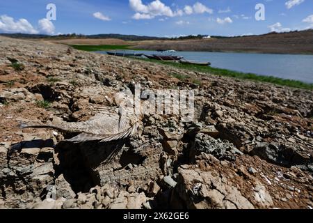 Pantabangan, Philippinen. 12. Mai 2024, Pantabangan, Philippinen: Reste der alten versunkenen Stadt Pantabangan, die wieder aufgetaucht sind, werden durch einen verwelkten Baum an einem trockenen Teil des Reservoirs gesehen, als Folge einer schweren Dürre aufgrund der steigenden Temperaturen auf den Philippinen. Das sechste Wiederauftauchen dieser 300 Jahre alten Siedlung, die eine Kirche und mehrere Grabsteine umfasst, hat Touristen zu Besuch gezogen, nachdem der Wasserstand am Damm aufgrund der El Nino Klimabildungen gesunken ist. Quelle: ZUMA Press, Inc./Alamy Live News Stockfoto