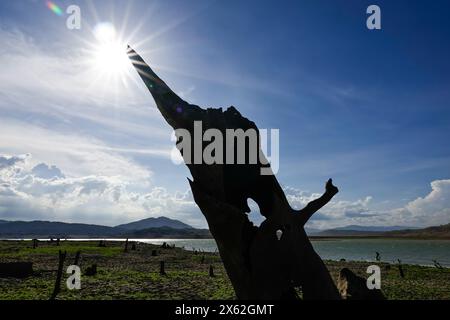 Pantabangan, Philippinen. 12. Mai 2024, Pantabangan, Philippinen: Reste der alten versunkenen Stadt Pantabangan, die wieder aufgetaucht sind, werden durch einen verwelkten Baum an einem trockenen Teil des Reservoirs gesehen, als Folge einer schweren Dürre aufgrund der steigenden Temperaturen auf den Philippinen. Das sechste Wiederauftauchen dieser 300 Jahre alten Siedlung, die eine Kirche und mehrere Grabsteine umfasst, hat Touristen zu Besuch gezogen, nachdem der Wasserstand am Damm aufgrund der El Nino Klimabildungen gesunken ist. Quelle: ZUMA Press, Inc./Alamy Live News Stockfoto