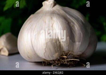 Isolierte Knoblauchzwiebeln. Studio-Aufnahme Stockfoto