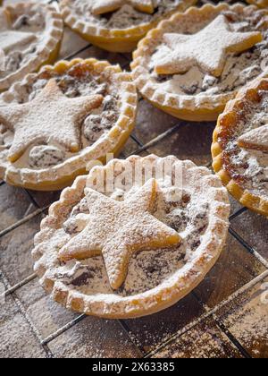 Frisch gebackene, mit Sternchen überzogene Hackpasteten, in Puderzucker bestäubt und auf einer Drahtschale gekühlt. Stockfoto