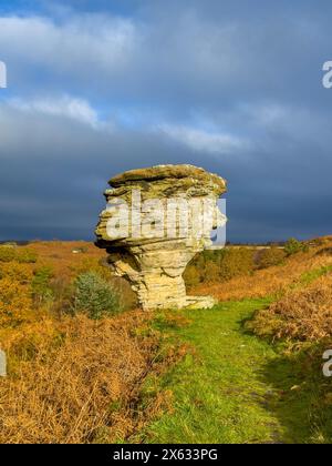 Einer der Felsformationen der Bridestones im Dalby Forest. North Yorkshire, Großbritannien Stockfoto