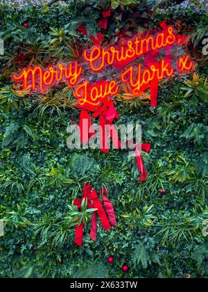 Merry Christmas Love York in roten Neonlichtern vor grünem Hintergrund. Stockfoto
