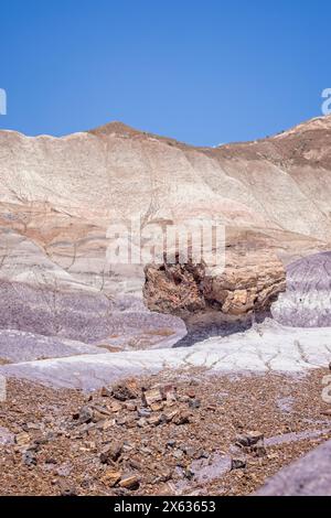 Großes Stück farbenfrohen versteinerten Holzes entlang des Blue Mesa Trail im Petrified Forest National Park, Arizona, USA am 17. April 2024. Stockfoto