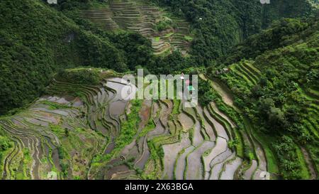 Batad Rice Terrassen auf den Philippinen Stockfoto