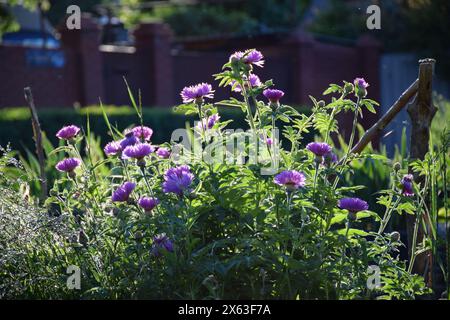 Podium aus Naturstein und Beton in natürlichem grünem Hintergrund für leere Show für die Präsentation von Verpackungsprodukten. Hintergrund für kosmetische Produkte, die Stockfoto
