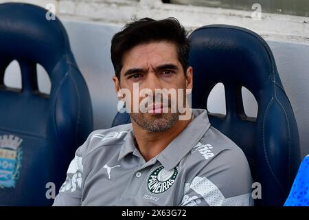 Barueri (SP), 05/2024 - Soccer/PALMERIAS-ATHLéTICO PR - Abel Ferreira aus Palmeiras - Spiel zwischen Palmeiras x Athlético PR, gültig für die sechste Runde der brasilianischen Meisterschaft, die am Nachmittag dieses sonntags, 12. In der Barueri Arena in Barueri ausgetragen wird. (Foto: Eduardo Carmim/Alamy Live News) Stockfoto