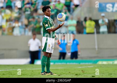 Barueri (SP), 05/2024 - Fußball/PALMERIAS-ATHLéTICO PR - Endrick aus Palmeiras - Spiel zwischen Palmeiras x Athlético PR, gültig für die sechste Runde der brasilianischen Meisterschaft, die am Nachmittag dieses sonntags, 12. In der Barueri Arena in Barueri ausgetragen wird. (Foto: Eduardo Carmim/Alamy Live News) Stockfoto