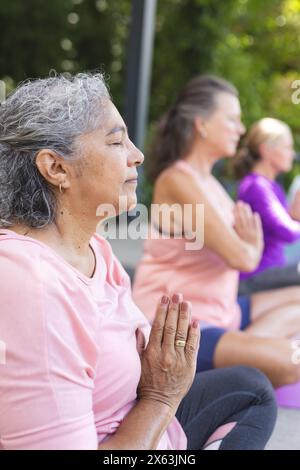 Im Freien gibt es verschiedene ältere weibliche Freunde, die Yoga praktizieren Stockfoto