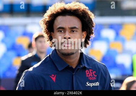 Joshua Zirkzee vom Bologna FC sieht beim Fußballspiel der Serie A zwischen dem SSC Napoli und dem Bologna FC im Diego Armando Maradona Stadion in Neapel (Italien) am 11. Mai 2024 an. Stockfoto