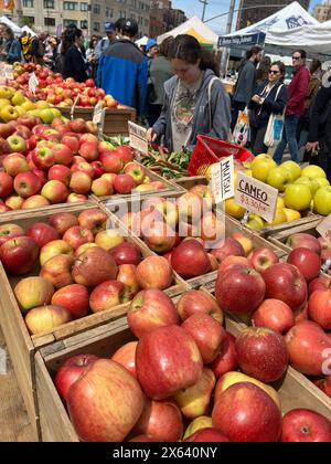 Die Einwohner von Brooklyn New York kaufen an einem Samstagmorgen im Frühjahr auf dem Grand Army Plaza Farmers Market im Prospect Park ein. Stockfoto