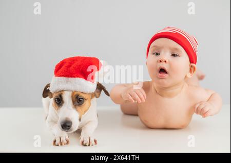 Süßer kleiner Junge und Jack Russell Terrierhund in santa-Hüten auf weißem Hintergrund. Stockfoto