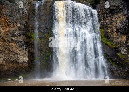 Hunua Falls - Neuseeland Stockfoto