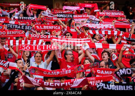 Lissabon, Portugal. Mai 2024. Die Fans von SL Benfica halten Schals während des Liga Portugal Betclic Fußballspiels zwischen SL Benfica und FC Arouca im Estadio da Luz Stadium. (Endstand: SL Benfica 5 - 0 FC Arouca) Credit: SOPA Images Limited/Alamy Live News Stockfoto