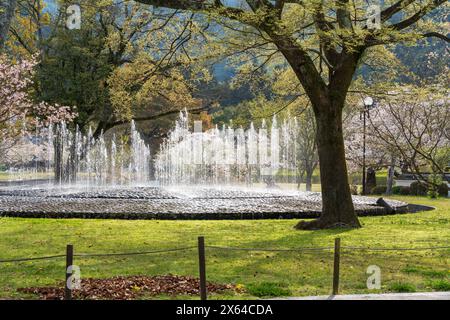 Brunnen im Kikko Park am Fuße der Burg Iwakuni. Die Kirschblüten blühen im Frühling voll. Iwakuni, Präfektur Yamaguchi, Japan. Stockfoto