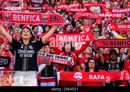 Lissabon, Portugal. Mai 2024. Die Fans von SL Benfica halten Schals während des Liga Portugal Betclic Fußballspiels zwischen SL Benfica und FC Arouca im Estadio da Luz Stadium. (Endstand: SL Benfica 5 - 0 FC Arouca) (Foto: Hugo Amaral/SOPA Images/SIPA USA) Credit: SIPA USA/Alamy Live News Stockfoto