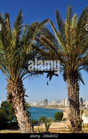 Wechselnde Skyline von Tel-Aviv aus der Altstadt von Jaffa, Israel. Stockfoto