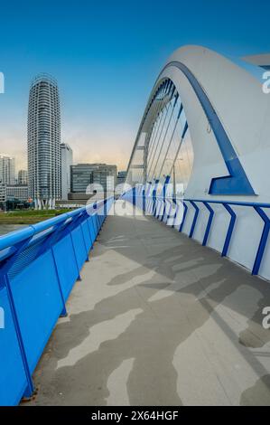 Apollo-Brücke über die Donau in Bratislava. Stockfoto