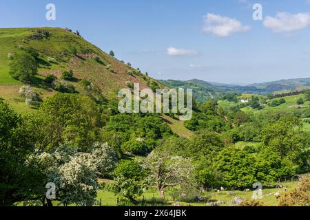 Landschaft in der Nähe von Castell Dinas Bran, in der Nähe von Llangollen in Denbighshire, Clwyd, Wales, Großbritannien Stockfoto