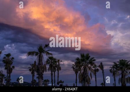 Unter einem Himmel, der von Wolken bemalt ist, ragen Palmen hoch und werfen anmutige Silhouetten vor den Horizont – ein ruhiger Moment, in dem die Natur ihre Schönheit genießt Stockfoto