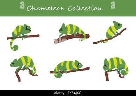 Chamäleon Kollektion. Chamäleon in verschiedenen Stellungen. Vektorabbildung. Stock Vektor