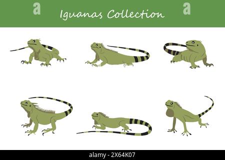 Leguanas-Kollektion. Leguane in verschiedenen Stellungen. Vektorabbildung. Stock Vektor