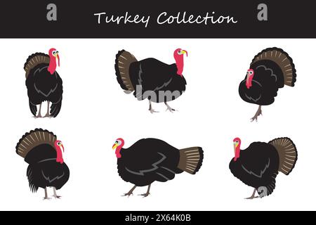 Türkei Kollektion. Die Türkei in verschiedenen Stellungen. Vektorabbildung. Stock Vektor