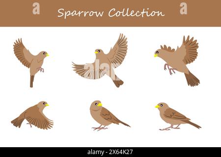 Sparrow Kollektion. Spatzen in verschiedenen Posen. Vektorabbildung. Stock Vektor