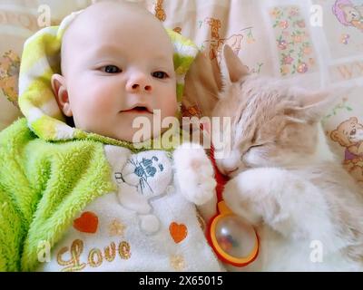 Innocent Bonding: Ein kleiner Junge fängt die Unschuld der Kindheit ein. Er umarmt und küsst eine rote Katze und bildet eine entzückende Bindung im Komfort o Stockfoto