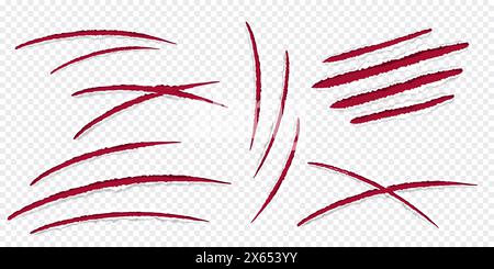 Katzenklauen rote Kratzer, gerissene Papierkante isoliert auf transparentem Hintergrund realistisch. Strukturierte Löcher mit beschädigter Oberfläche. . Vektorabbildung Stock Vektor