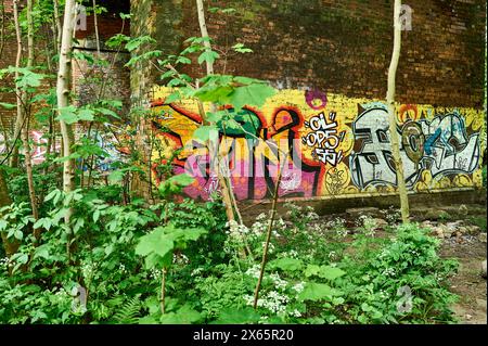 Graffiti an den Wänden des bewachsenen Eisenbahnbrückenbogens in Preston, Großbritannien Stockfoto