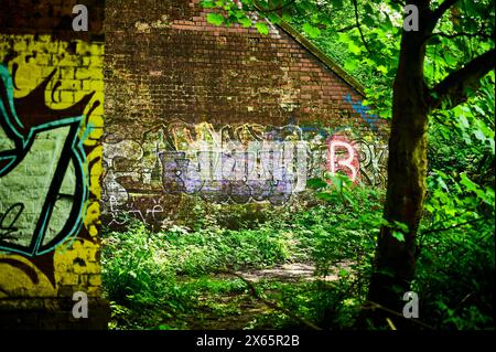 Graffiti an den Wänden des bewachsenen Eisenbahnbrückenbogens in Preston, Großbritannien Stockfoto