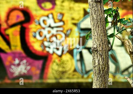 Graffiti an den Wänden des bewachsenen Eisenbahnbrückenbogens in Preston, Großbritannien Stockfoto