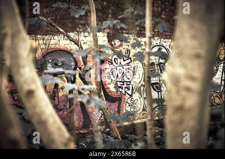 Graffiti an den Wänden des bewachsenen Eisenbahnbrückenbogens in Preston, Großbritannien Stockfoto