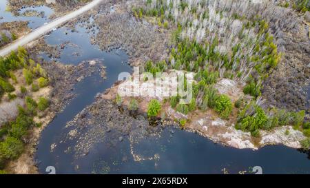Eine ruhige Luftaufnahme eines abgelegenen Feuchtgebiets in Wahnapitae, Sudbury, Ontari Stockfoto
