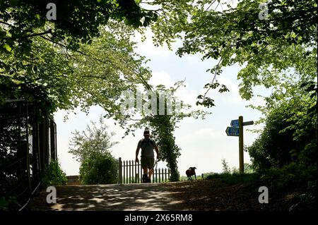 Silhouette eines Mannes, der mit Hunden entlang eines von Bäumen gesäumten Weges neben Wegweisern geht Stockfoto