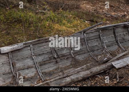 Überreste eines alten hölzernen Ruderbootes im Wald. Stockfoto