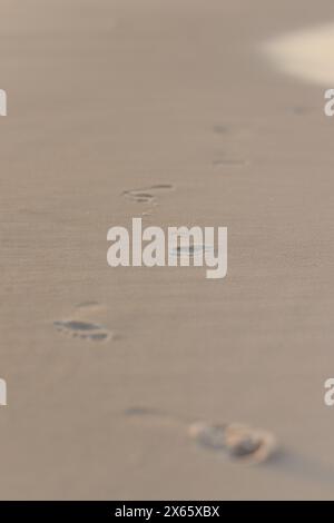 Fußspuren führen auf weichem Sandstrand Stockfoto