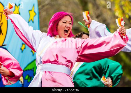 Nahaufnahme einer rosafarbenen Teenagerfrau Yosakoi-Tänzerin, die Naruko, Holzklatschen, in ihren Händen hält und langärmlige Yukata trägt. Stockfoto